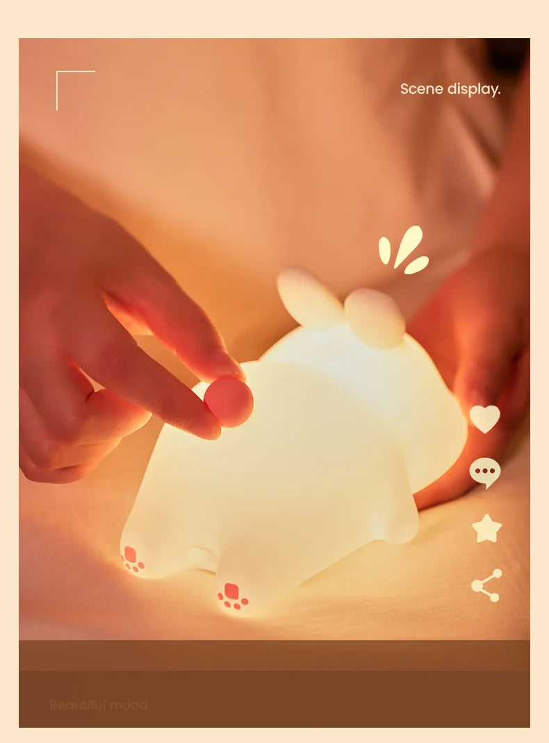 LED Night Lights